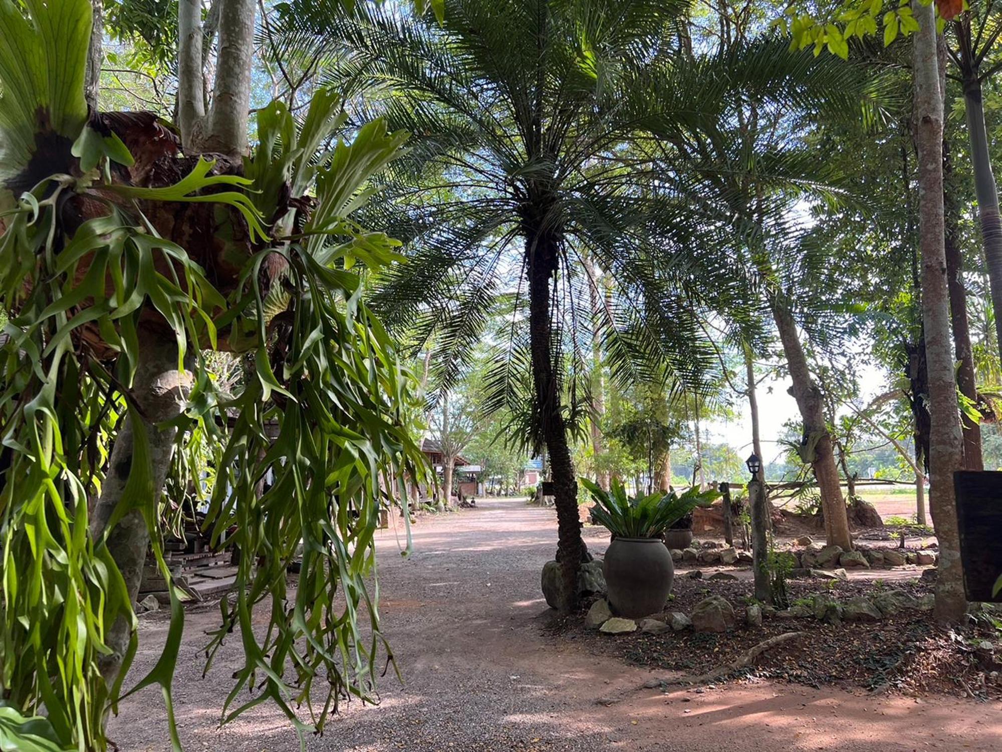 Pang Mai Resort 宋卡 外观 照片