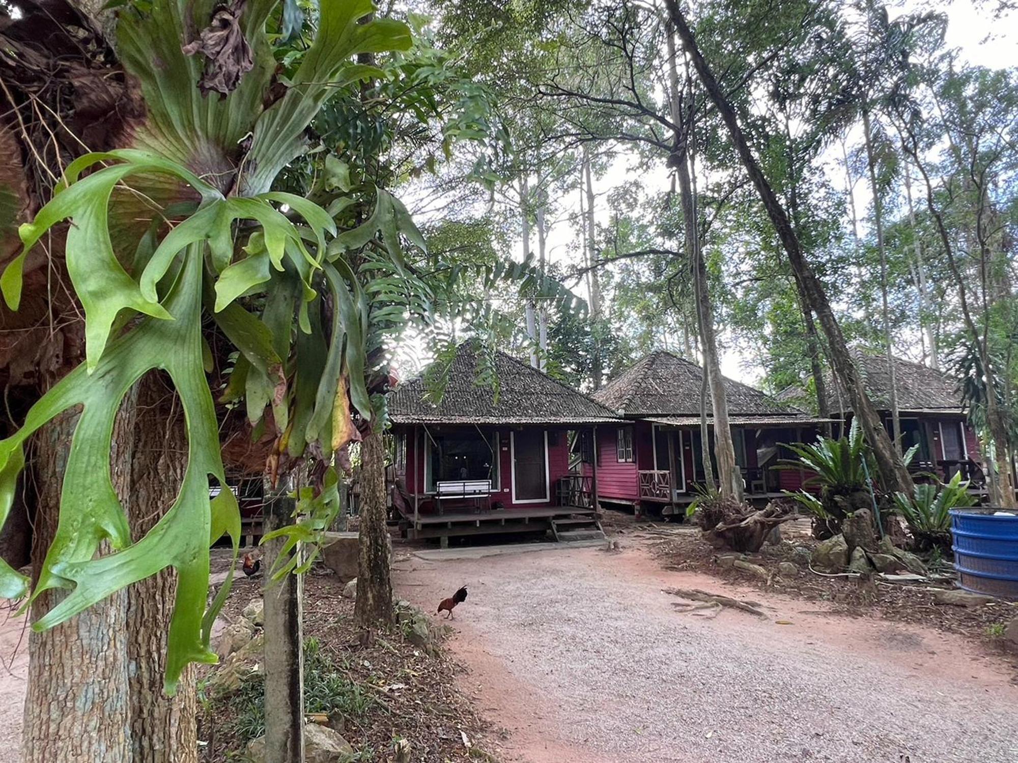 Pang Mai Resort 宋卡 外观 照片
